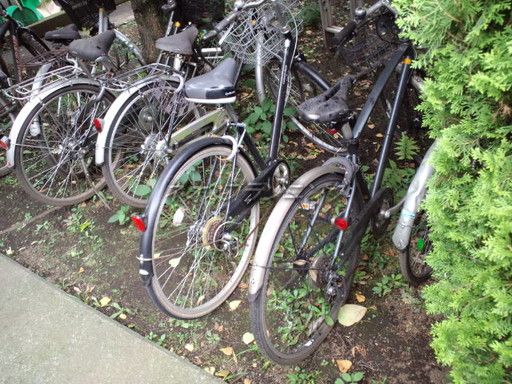 【その他共有部分】　自転車駐輪可