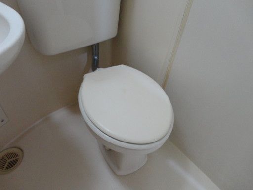 【トイレ】　洋式トイレ♪